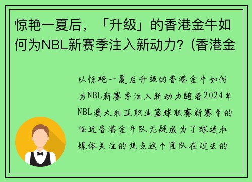 惊艳一夏后，「升级」的香港金牛如何为NBL新赛季注入新动力？(香港金牛是多少钱)