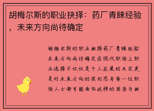 胡梅尔斯的职业抉择：药厂青睐经验，未来方向尚待确定