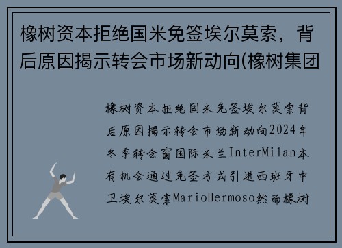 橡树资本拒绝国米免签埃尔莫索，背后原因揭示转会市场新动向(橡树集团)