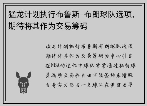 猛龙计划执行布鲁斯-布朗球队选项，期待将其作为交易筹码